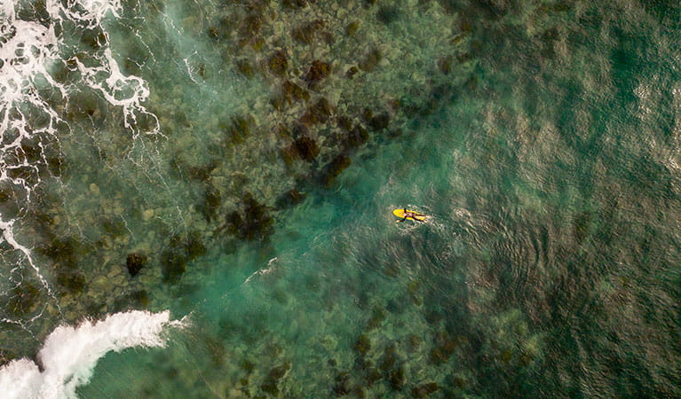 Aerial view of surfer in ocean near Saltwater Creek campground, Beowa National Park. Photo: John Spencer &copy; OEH
