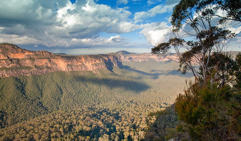 Perrys Lookdown campground, Blue Mountains National Park. Photo: Nick Cubbin/OEH