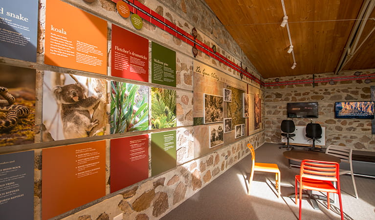 Wall displays at Blue Mountains Heritage Centre, Blue Mountains National Park. Photo: John Spencer &copy; DPIE