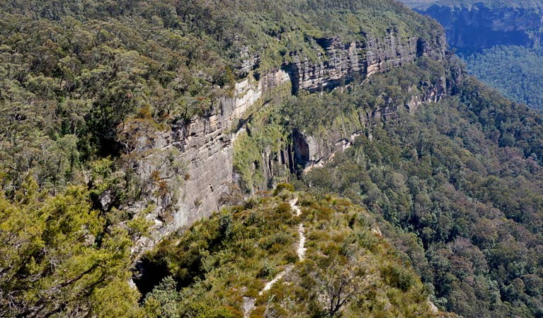 Aerial view of Cliff Top walking track, Blue Mountains National Park. Photo: Steve Alton &copy; OEH