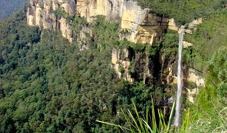 View of Govetts Leap waterfall, Blue Mountains National Park. Photo: Steve Alton &copy; OEH