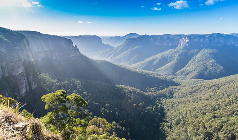 Panoramic view of Grose Valley from Govetts Leap lookout, Blue Mountains National Park. Simone Cottrell/DPE &copy; DPE