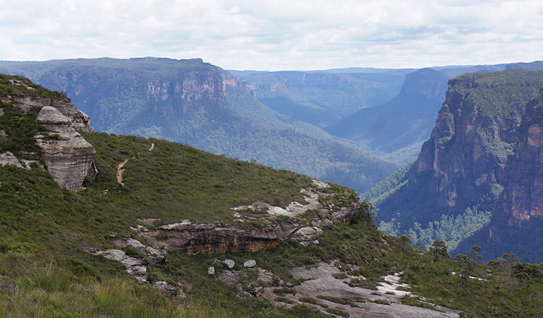 Views of sandstone cliffs and Grose Valley gorge, Mount Hay summit walk, Blue Mountains National Park. Photo: Stephen Alton &copy; OEH