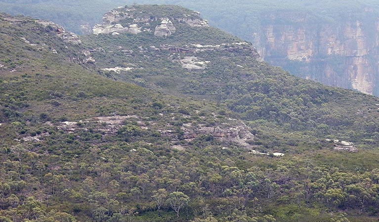 Weathered rock formations seen from Mount Hay summit walking track, Blue Mountains National Park. Photo: Arthur Henry &copy; OEH