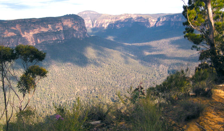 Perrys Lookdown to Blue Gum Forest, Blue Mountains National Park. Photo: Craig Marshall &copy; OEH and photographer