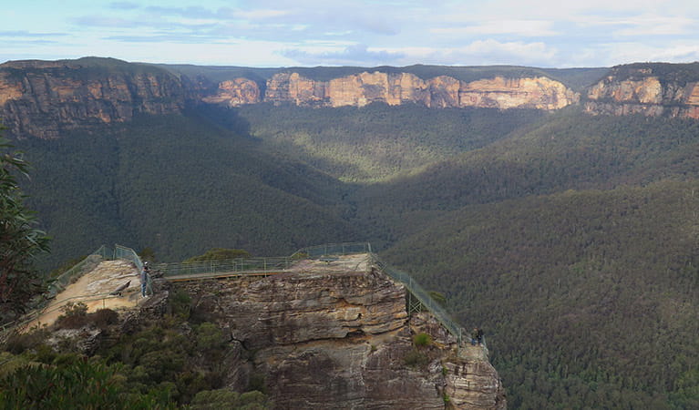 Pulpit Rock lookout, Blue Mountains National Park. Photo: Elinor Sheargold &copy; OEH