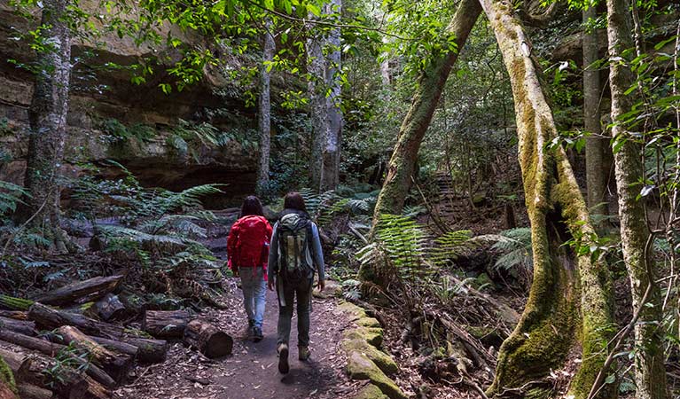 Two women walk through rainforest on Grand Canyon track in Blue Mountains National Park. Photo: Simone Cottrell &copy; DPE