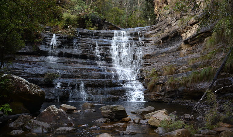 Victoria Creek cascades over a series of ledges in Blue Mountains National Park, near Mount Victoria. Photo: Grant Purcell &copy; DPIE