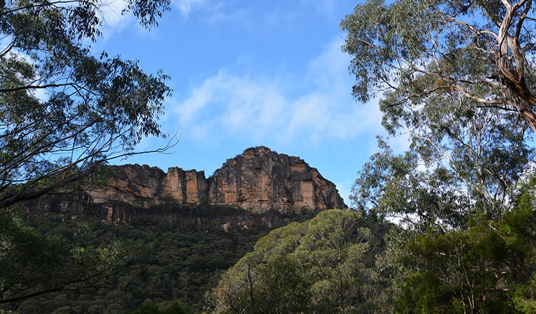 Cliff face to the east of Victoria Falls, in Blue Mountains National Park. Photo: Grant Purcell &copy; DPIE