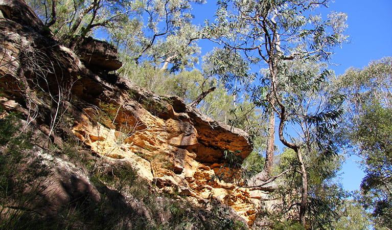Reach Blue Pool by walking the track along the base of the sandstone cliff. Photo &copy; Natasha Webb