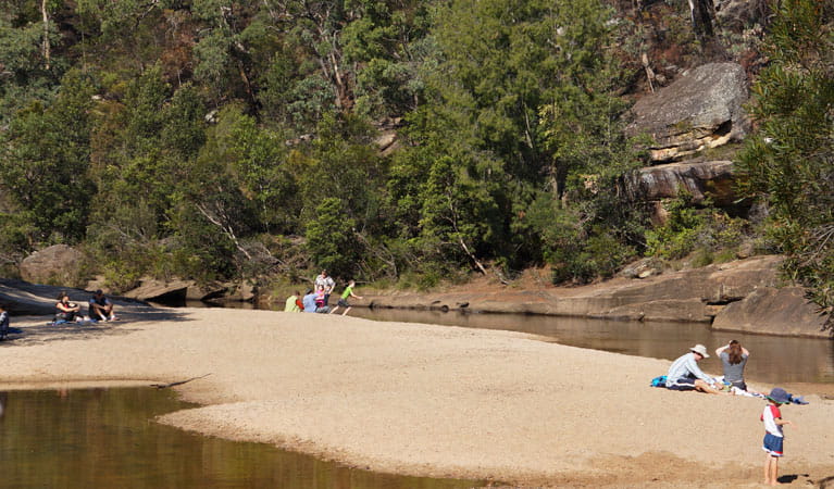Kids playing at Jellybean Pool, Blue Mountains National Park. Photo: Steve Alton &copy; OEH