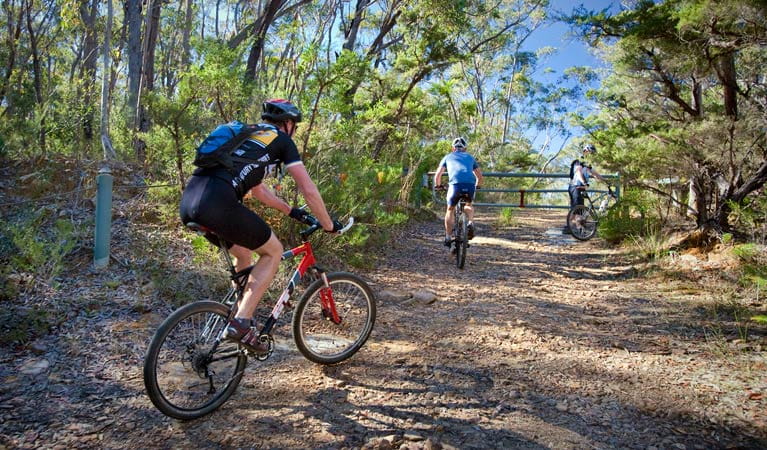Three mountain bike riders cycle to the gate on Andersons trail in Blue Mountains National Park. Photo: Nick Cubbin/OEH