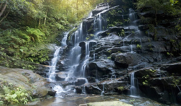 Valley of the Waterfalls, Blue Mountains National Park. Photo: David Finnegan/OEH