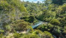 Aerial view of two people crossing a bridge over a creek while hiking Darwins walk near Wentworth Falls. Credit: Remi Brand/DPE &copy; Remy Brand