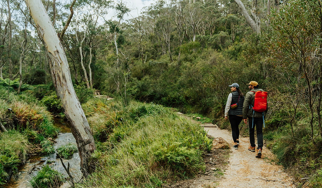 Two friends with hiking backpacks walking on a flat dirt path by a pretty creek surrounded by tall eucalypts with white trunks. Credit: Remi Brand/DPE &copy; Remy Brand