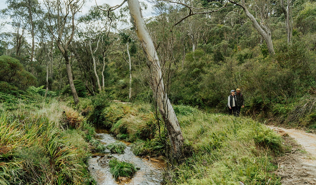 Two friends hiking on Darwins walk showing a flat dirt path by a pretty creek surrounded by tall eucalypts with white trunks. Credit: Remi Brand/DPE &copy; Remy Brand