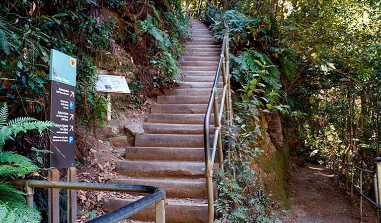 Furber Steps is a long and steep set of sandstone steps in Blue Mountains National Park. Photo: Steve Alton &copy; OEH