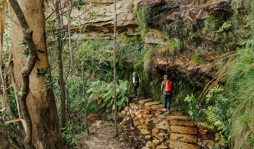 2 walkers following a track along the underside of a cliff, Grand Cliff Top Walk, Blue Mountains National Park. Photo: Remy Brand &copy; Remy Brand