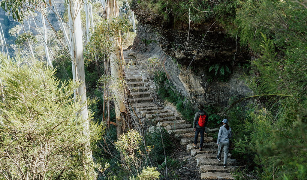 2 walkers following the cliff side track on Grand Cliff Top Walk, Blue Mountains National Park. Photo: Remy Brand &copy; Remy Brand