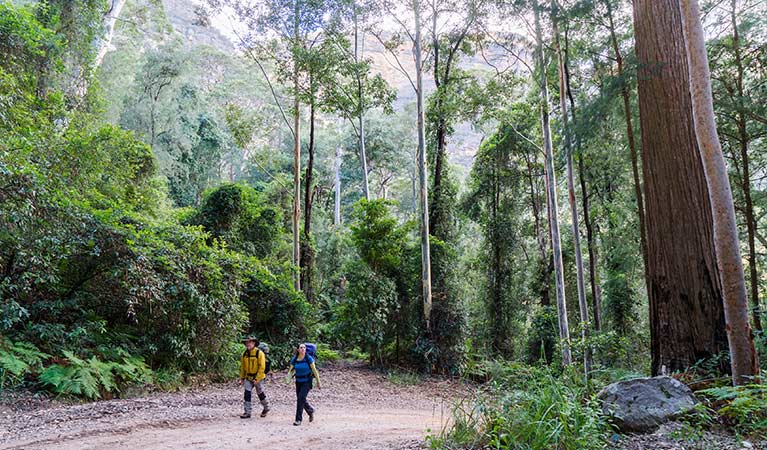 A couple walk through forest to walk-in Kedumba River Crossing campground, Blue Mountains National Park. Photo: Simone Cottrell/OEH