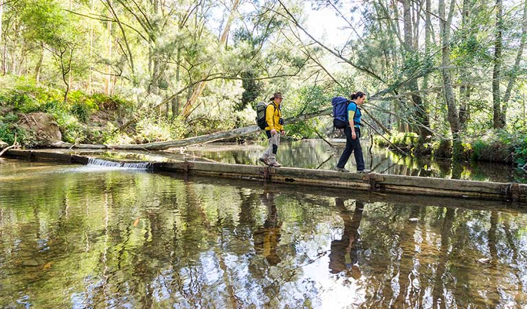 Hikers cross the Kedumba River, Blue Mountains National Park. Photo: Simone Cottrell/OEH