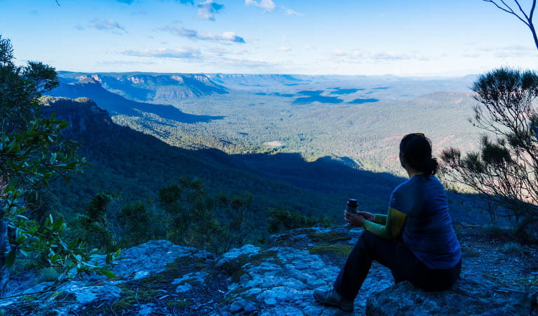 A hiker looks over the Kedumba Valley, near Wentworth Falls, Blue Mountains National Park. Photo: Simone Cottrell/OEH
