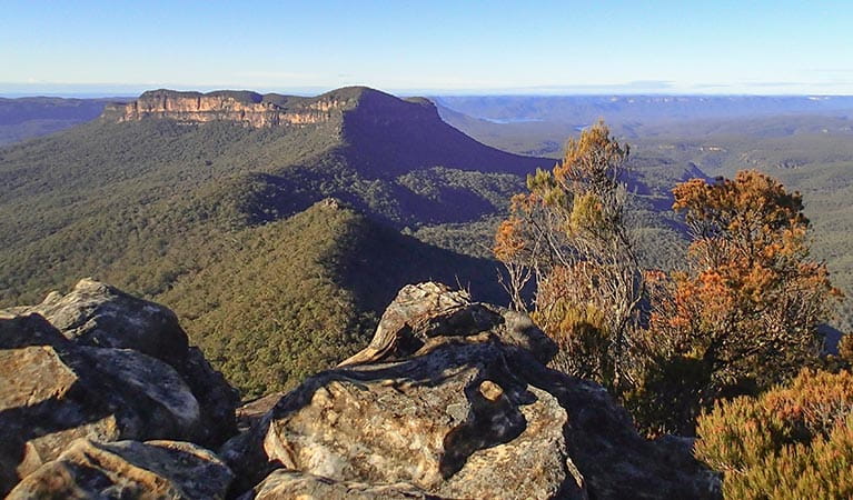 View of Mount Solitary from Ruined Castle, Blue Mountains National Park. Photo: Aine Gliddon/OEH