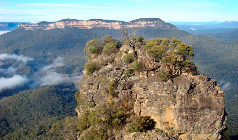 One of the Three Sisters, Mount Solitary Walking Track, Blue Mountains National Park. Photo: Steve Alton &copy; OEH