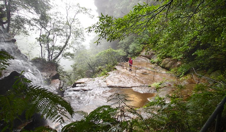 National Pass, Blue Mountains National Park. Photo: Aine Gliddon &copy; OEH and photographer