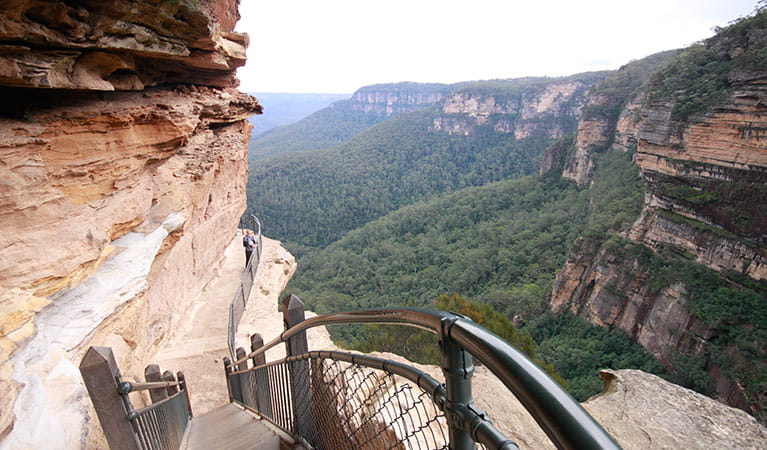 National Pass stairs and cliff-edge track at Wentworth Falls, Blue Mountains National Park. Photo: Elinor Sheargold &copy; OEH