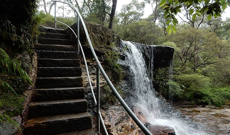Stone-carved steps climb next to Weeping Rock waterfall, near Wentworth Falls, in Blue Mountains National Park. Photo: Arthur Henry &copy; OEH