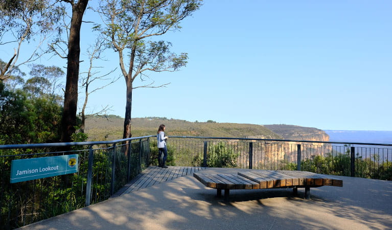 A visitor enjoys views at Jamison lookout, Wentworth Falls picnic area, Blue Mountains National Park. Photo: E Sheargold/OEH.