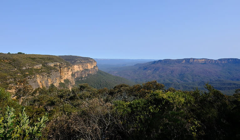 Escarpment and valley views from Jamison lookout, Wentworth Falls, Blue Mountains National Park. Photo: E Sheargold/OEH.