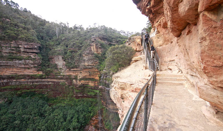 National Pass, Wentworth Falls, Blue Mountains National Park. Photo: Elinor Sheargold &copy; OEH