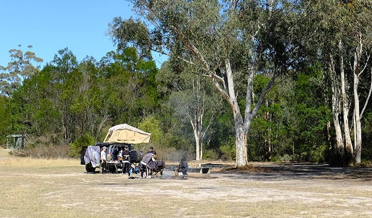 A group of campers at Burralow Creek campground, Blue Mountains National Park. Photo: E Sheargold/OEH.