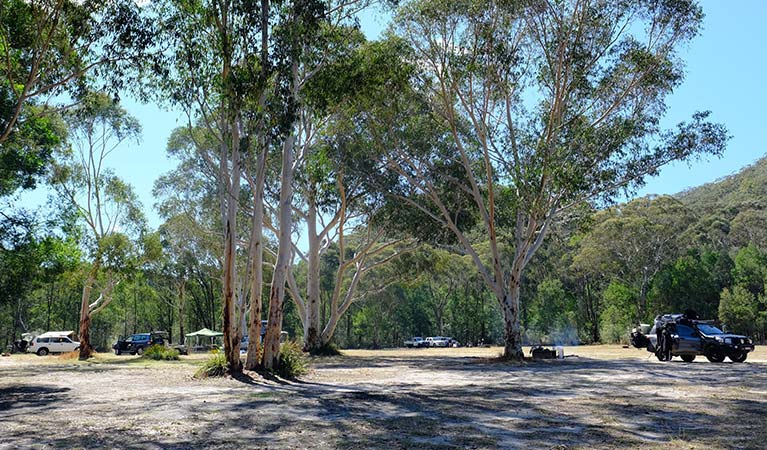 Burralow Creek campground, Blue Mountains National Park. Photo: E Sheargold/OEH.