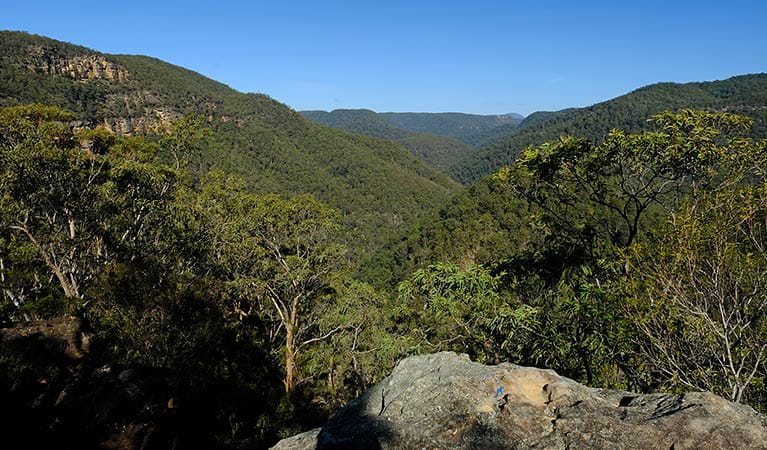 Lower Grose Valley views, Vale of Avoca lookout, Blue Mountains National Park. Photo: E Sheargold/OEH