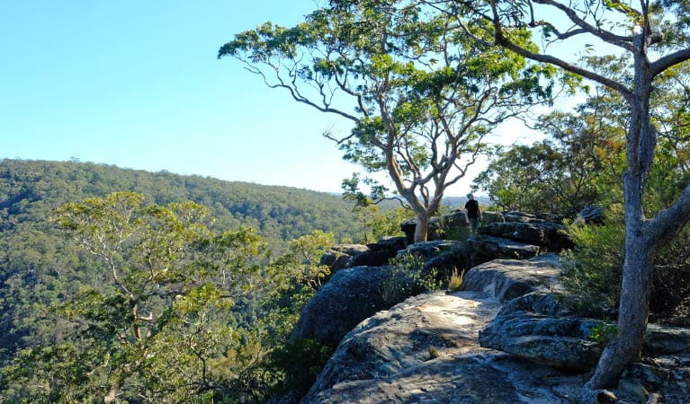 A man walks along the rock platform that forms unfenced Vale of Avoca lookout in Blue Mountains National Park. Photo: Elinor Sheargold/OEH