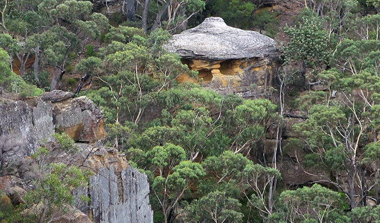 Chinamans Hat rock formation, Mount WIlson, Blue Mountains National Park. Photo: E Sheargold/OEH