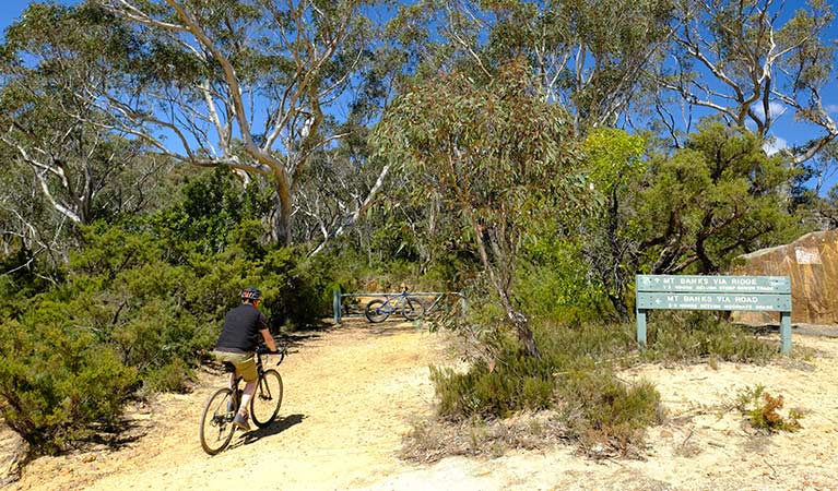A bike rider on Mount Banks Road trail, Blue Mountains National Park. Photo: E Sheargold/OEH.