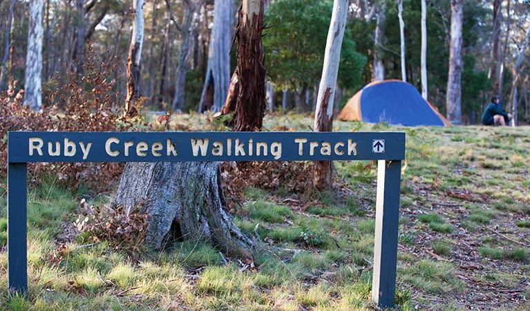 Walking track sign in a grassy forest clearing, with a tent and camper in the background.  Photo: Nick Cubbin