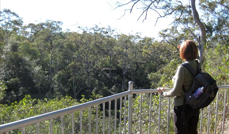 Falcon Crescent lookout, Bomaderry Creek Regional Park
