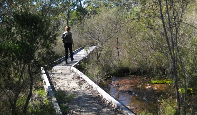 Falcon Crescent walkway, Bomaderry Creek Regional Park