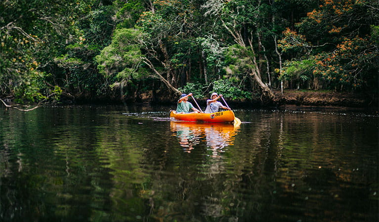 Man and woman paddling on the still waters of Pine Creek, against a background of lush forest. Photo: Jay Black &copy; OEH