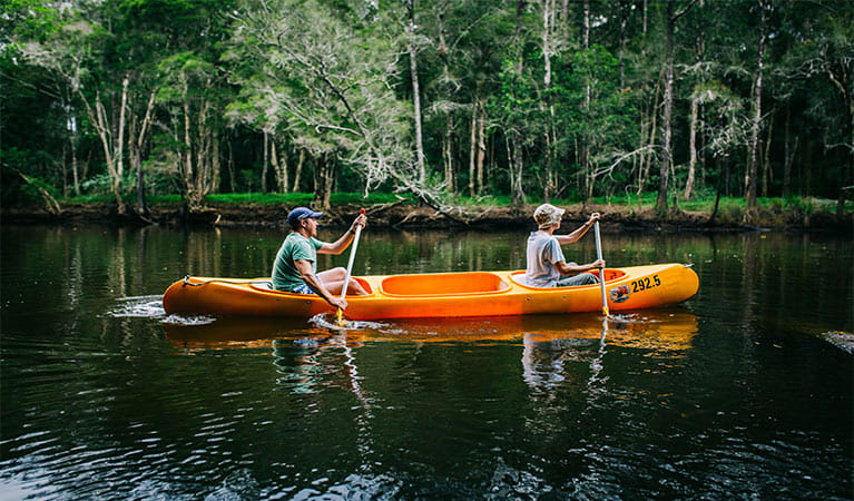 Man and woman paddling on Pine Creek, against a background of dense casuarina and paperbark forest. Photo: Jay Black &copy; OEH