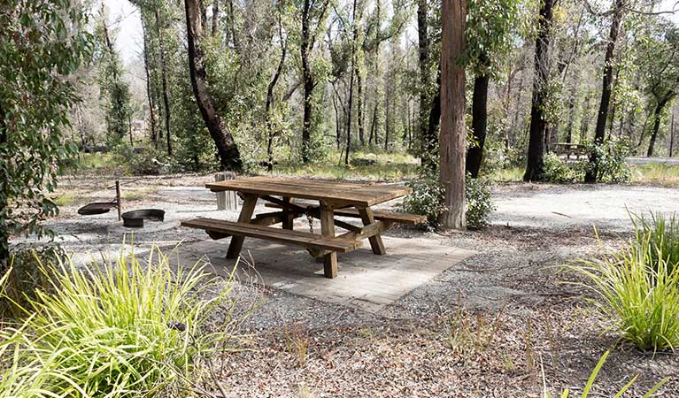 Picnic table at Cypress Pine campground, Boonoo Boonoo National Park. Photo: Leah Pippos &copy: DPIE