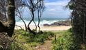 The view from McBrides Beach walking track as it exits to McBrides Beach. Photo: Brett Cann