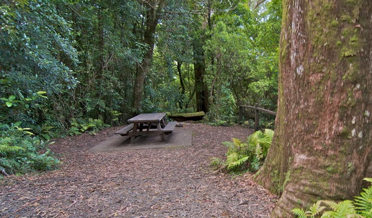 A picnic table surrounded by rainforest at Blackbutt lookout picnic area, Border Ranges National Park. Photo credit: John Spencer &copy; DPIE