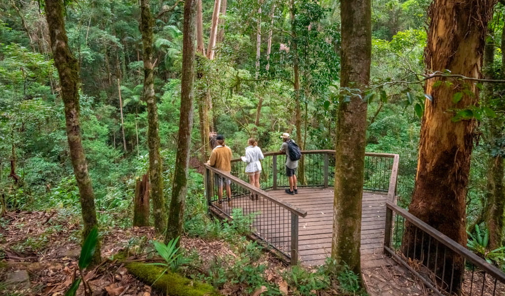 Bushwalkers at a lookout on Palm Forest walking track. Photo credit: John Spencer &copy; DPIE