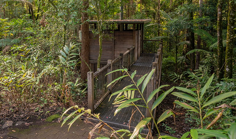 Wheelchair accessible toilet facilities, Sheepstation Creek campground, Border Ranges National Park. Photo credit: John Spencer &copy; DPIE
